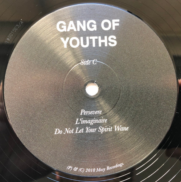 Gang of Youths – MTV Unplugged Live In Melbourne (2xLP) LP vinyl record, image 7 of 8