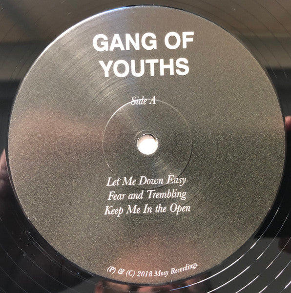 Gang of Youths – MTV Unplugged Live In Melbourne (2xLP) LP vinyl record, image 5 of 8