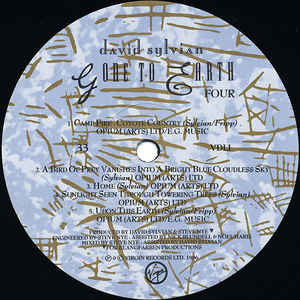 David Sylvian – Gone To Earth (2xLP) LP vinyl record, image 8 of 10