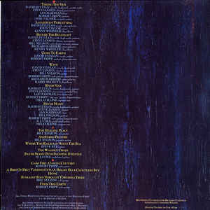 David Sylvian – Gone To Earth (2xLP) LP vinyl record, image 2 of 10