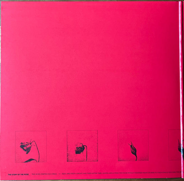 Raye – This Music May Contain Hope. (2xLP) LP vinyl record, image 2 of 10