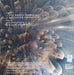 Steve Roach – Bloom Ascension LP vinyl record, image 2 of 4