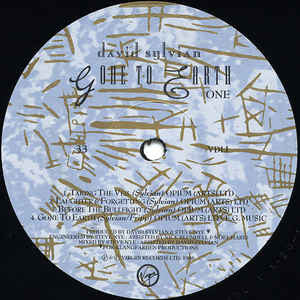 David Sylvian – Gone To Earth (2xLP) LP vinyl record, image 5 of 10