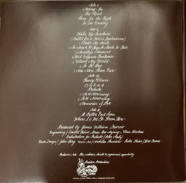 Chicago – Chicago (2xLP) LP vinyl record, image 3 of 9