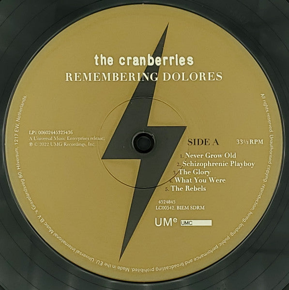 The Cranberries – Remembering Dolores (2xLP) LP vinyl record, image 5 of 10
