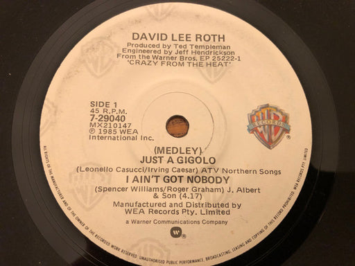 David Lee Roth – Just A Gigolo / I Ain't Got Nobody (Medley)