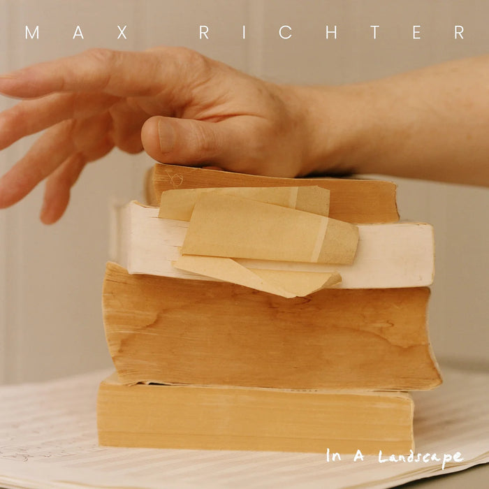 Max Richter – In A Landscape (2xLP) - Image 1