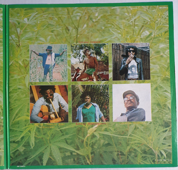 Peter Tosh – Legalize It LP vinyl record, image 4 of 6