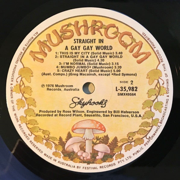 Skyhooks – Straight In A Gay Gay World LP vinyl record, image 6 of 10