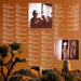 J.J. Cale – Collected (3xLP) LP vinyl record, image 5 of 10