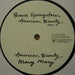 Bruce Springsteen – American Beauty 12" vinyl record, image 3 of 5