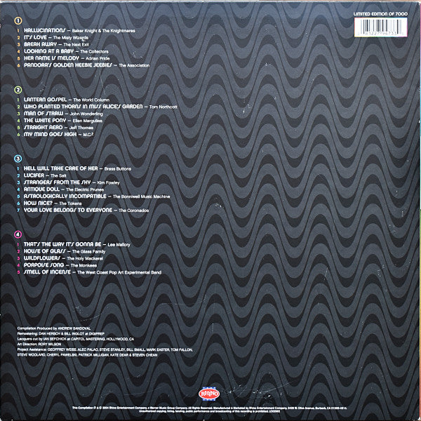 Various – Hallucinations: Psychedelic Pop Nuggets From The WEA Vaults (2xLP) LP vinyl record, image 2 of 10