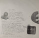 Ty Segall – Emotional Mugger LP vinyl record, image 5 of 7