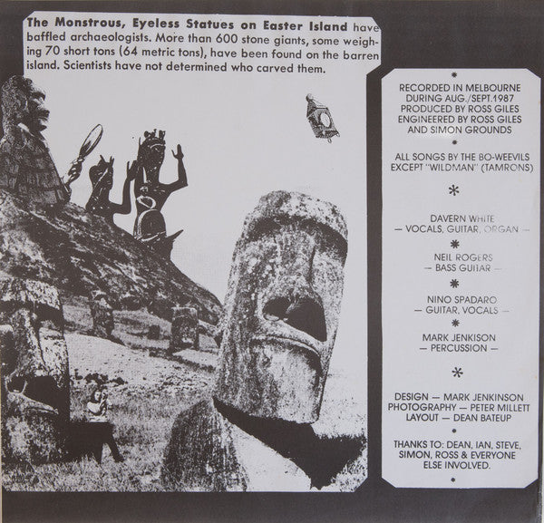 The Bo-Weevils – The Vortex Took Them 12" vinyl record, image 5 of 5