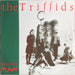 The Triffids – Treeless Plain LP vinyl record, image 1 of 6