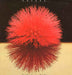 Yutaka Yokokura – Love Light LP vinyl record, image 1 of 8