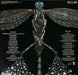 Lee Oskar, Lee Oskar, War – Lee Oskar = 約束の旅 LP vinyl record, image 4 of 9