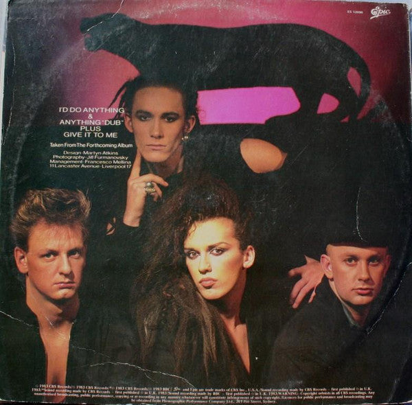 Dead Or Alive – I'd Do Anything (Megamix) 12" vinyl record, image 2 of 4