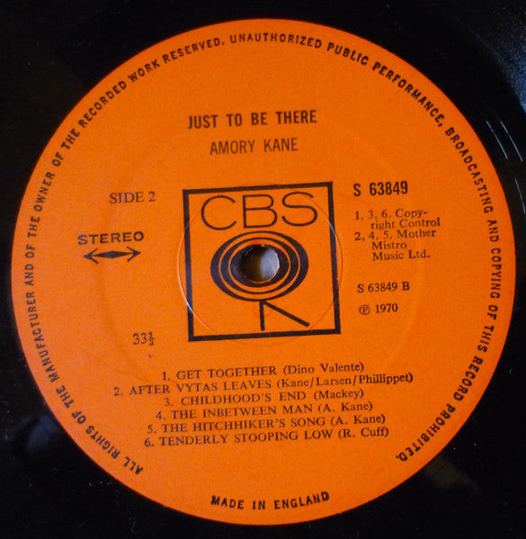 Amory Kane – Just To Be There LP vinyl record, image 4 of 5