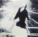 Liza Minnelli – Results LP vinyl record, image 5 of 6