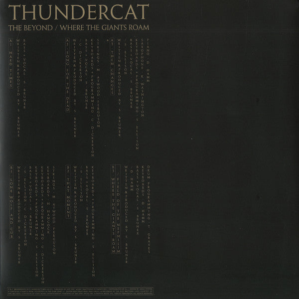 Thundercat – The Beyond / Where The Giants Roam 12" vinyl record, image 2 of 7