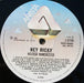 Melissa Manchester – Hey Ricky LP vinyl record, image 4 of 6