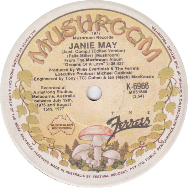 The Ferrets – Janie May 7" vinyl record, image 1 of 2