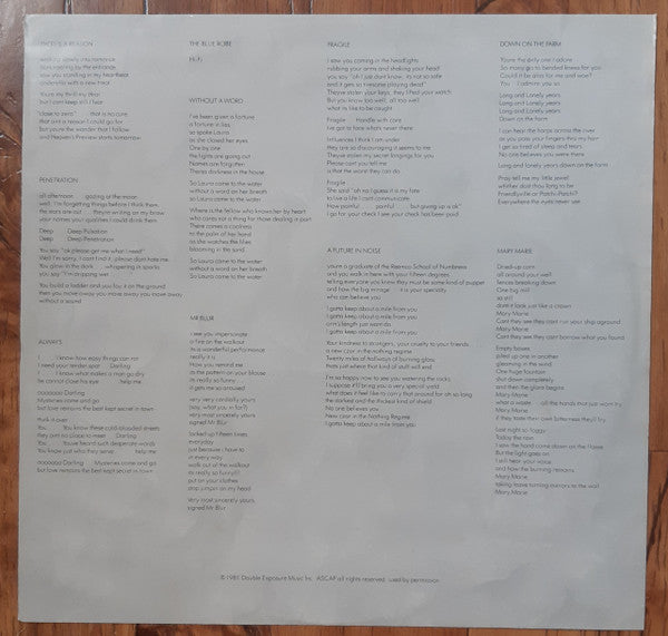 Tom Verlaine – Dreamtime LP vinyl record, image 6 of 6