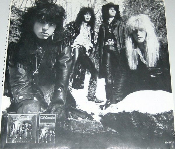 Cinderella – Long Cold Winter LP vinyl record, image 5 of 6
