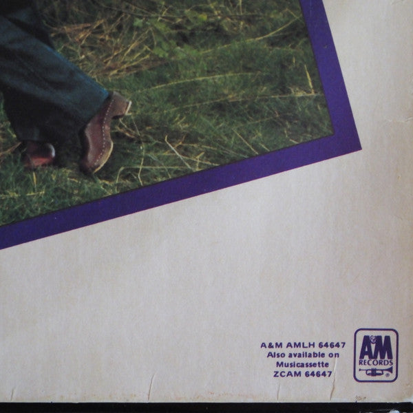 Chris de Burgh – At The End Of A Perfect Day LP vinyl record, image 5 of 7