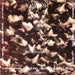 Kate Bush – The Dreaming LP vinyl record, image 10 of 10