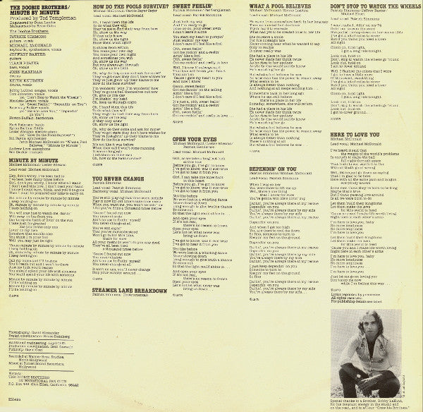 The Doobie Brothers – Minute By Minute LP vinyl record, image 2 of 6