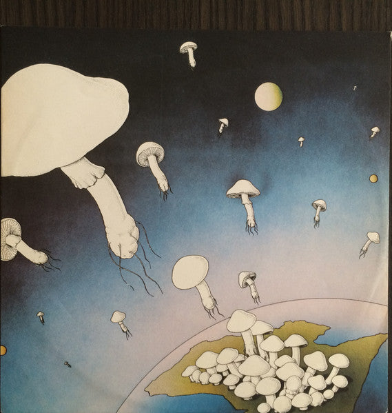Ayers Rock – Big Red Rock LP vinyl record, image 7 of 7