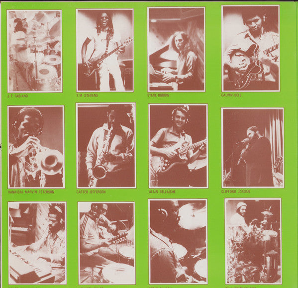Fabiano Orchestra – Butterfly Island LP vinyl record, image 3 of 5