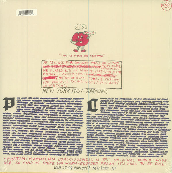 Parquet Courts – Light Up Gold LP vinyl record, image 4 of 4