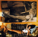 Various – Quentin Tarantino's "Death Proof" (Original Soundtrack) LP vinyl record, image 7 of 9