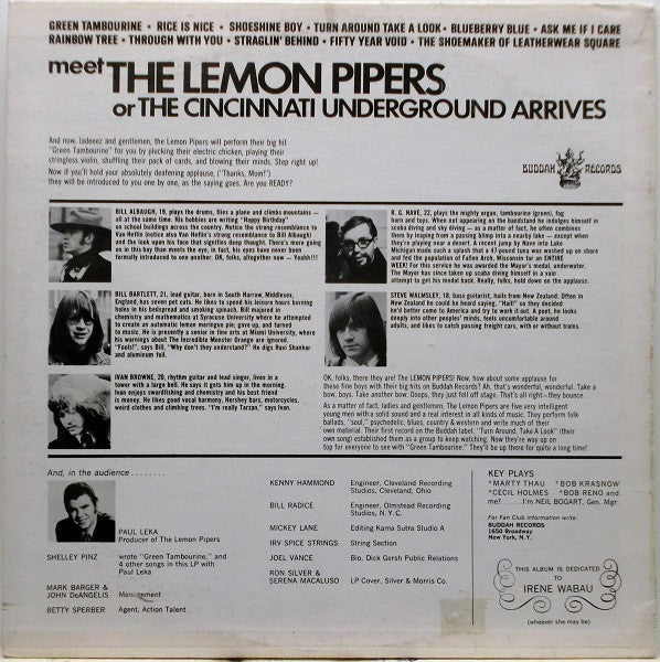 The Lemon Pipers – Green Tambourine LP vinyl record, image 2 of 4