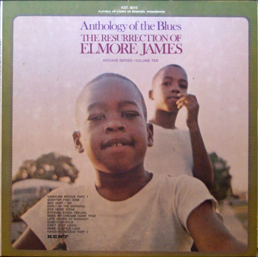 Elmore James – The Resurrection Of Elmore James LP vinyl record, image 1 of 6
