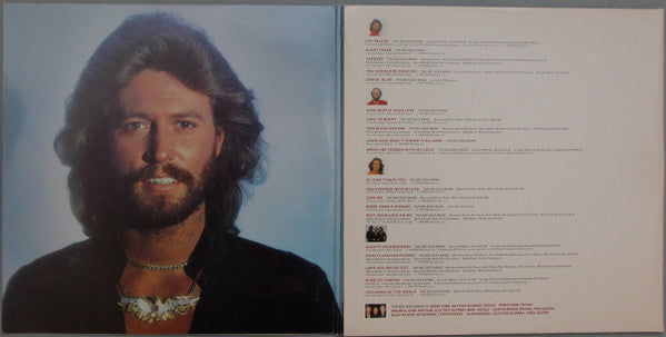 Bee Gees – Bee Gees Greatest (2xLP) LP vinyl record, image 7 of 10