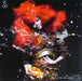 Björk – Biophilia (2xLP) LP vinyl record, image 1 of 10