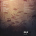 The Phoenix Foundation – Buffalo LP vinyl record, image 2 of 2