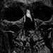 Grinning Death's Head – No Afterlife LP vinyl record, image 1 of 6