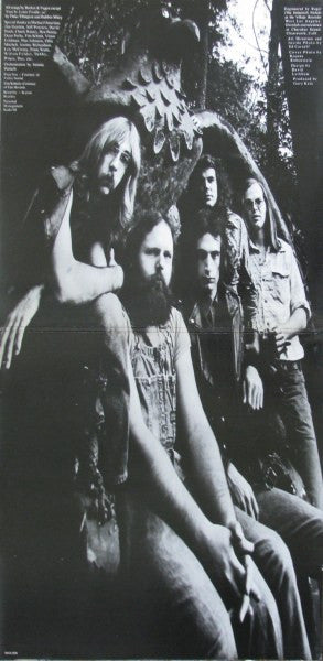 Steely Dan – Pretzel Logic LP vinyl record, image 3 of 5