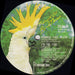 Midnight Oil – Bird Noises 12" vinyl record, image 4 of 4