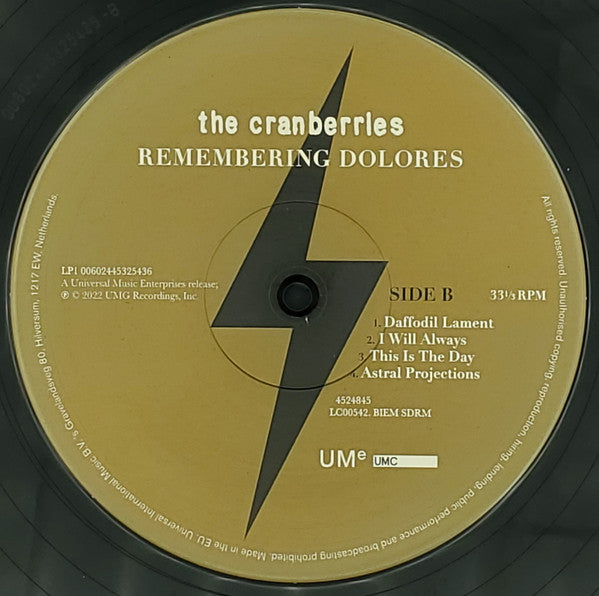 The Cranberries – Remembering Dolores (2xLP) LP vinyl record, image 6 of 10