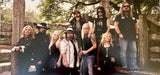 Lynyrd Skynyrd – Collected (2xLP) LP vinyl record, image 3 of 3