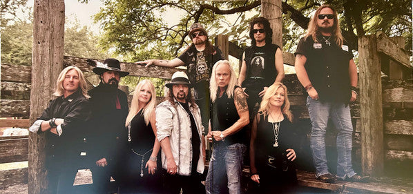Lynyrd Skynyrd – Collected (2xLP) LP vinyl record, image 3 of 3