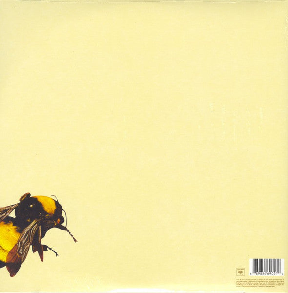 Tyler, The Creator – Scum Fuck Flower Boy (2xLP) LP vinyl record, image 4 of 10