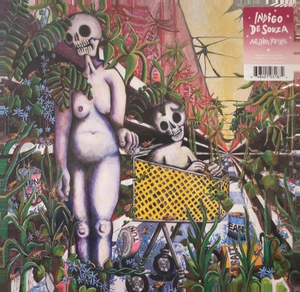 Indigo De Souza – Any Shape You Take LP vinyl record, image 1 of 4