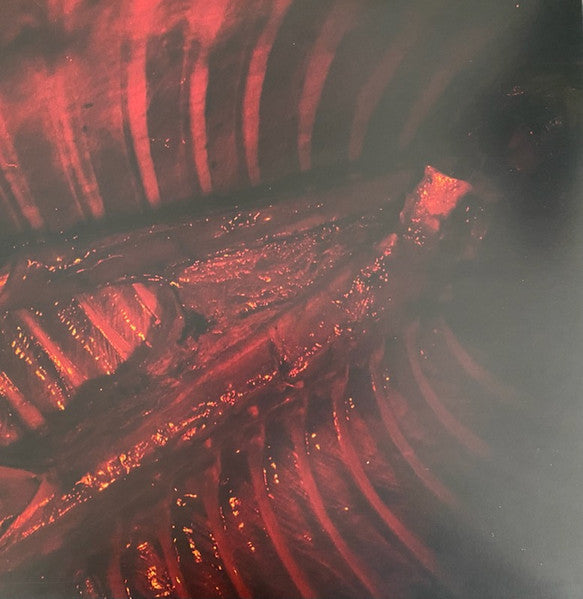 Absent In Body – Plague God LP vinyl record, image 4 of 7